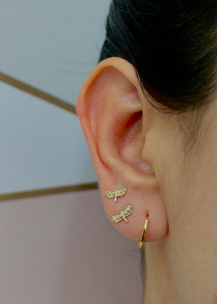 Arete Libélula