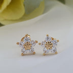 Arete Flor 5 circonias