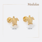 Arete Turtle