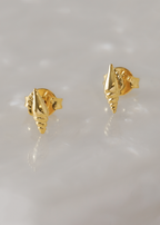 Arete Shell
