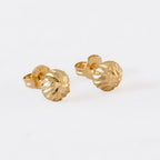 Arete Topo Balin Italy 6Mm